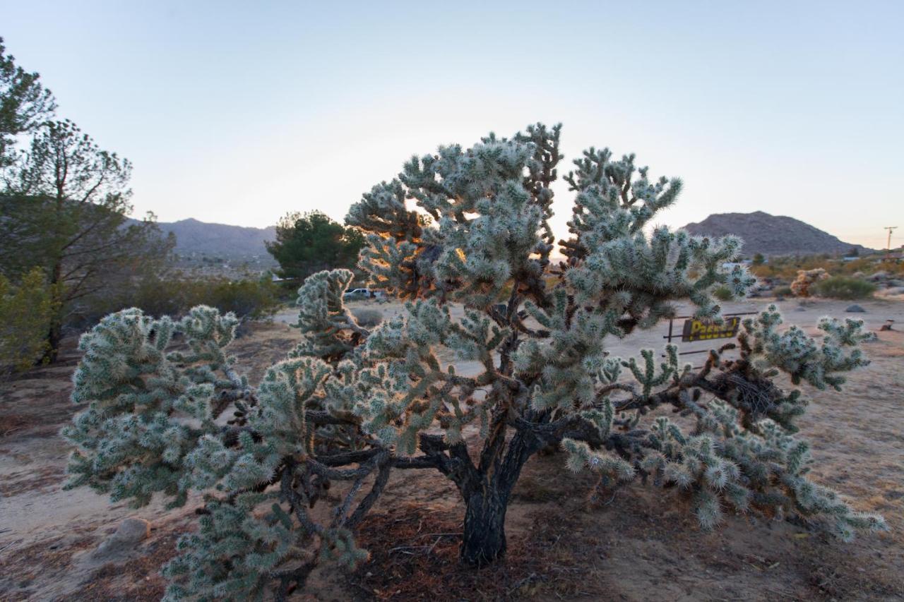 @ Marbella Lane - 10 Acres Oasis Desert Retreat! Joshua Tree Eksteriør bilde