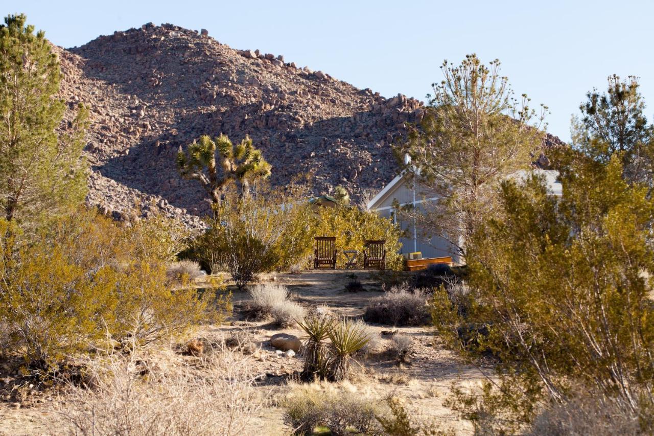 @ Marbella Lane - 10 Acres Oasis Desert Retreat! Joshua Tree Eksteriør bilde
