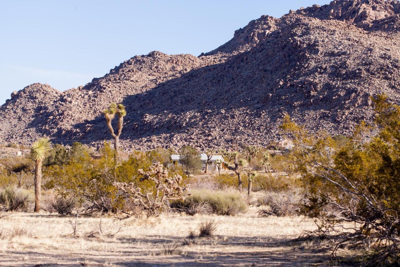 @ Marbella Lane - 10 Acres Oasis Desert Retreat! Joshua Tree Eksteriør bilde