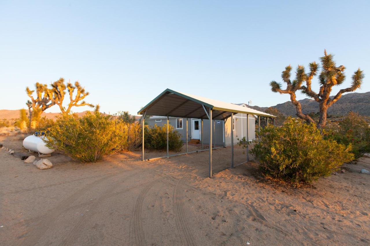 @ Marbella Lane - 10 Acres Oasis Desert Retreat! Joshua Tree Eksteriør bilde